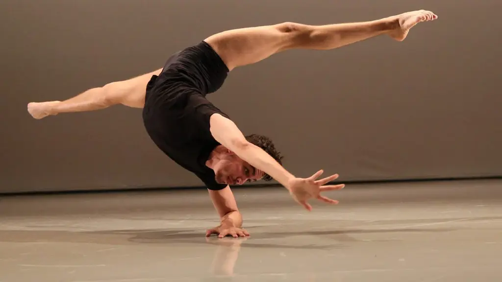 Insane Danze Company