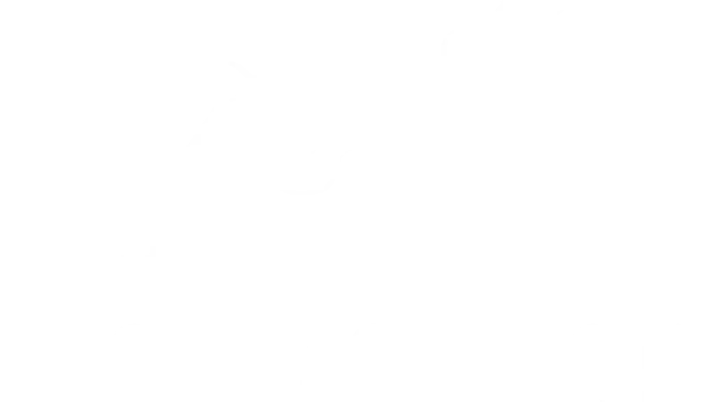 Non-Violence Project India