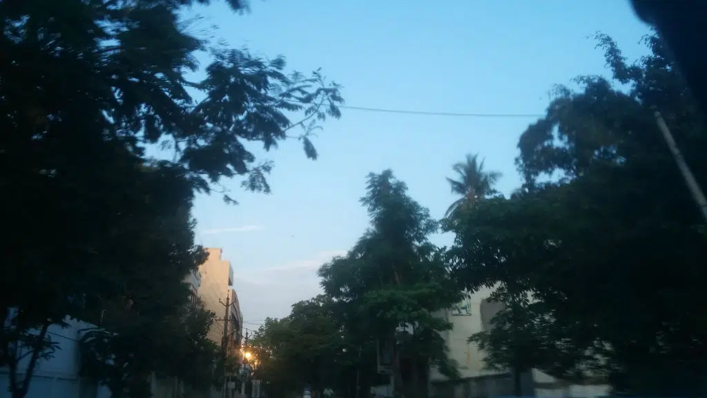 Mamatha Carry Point