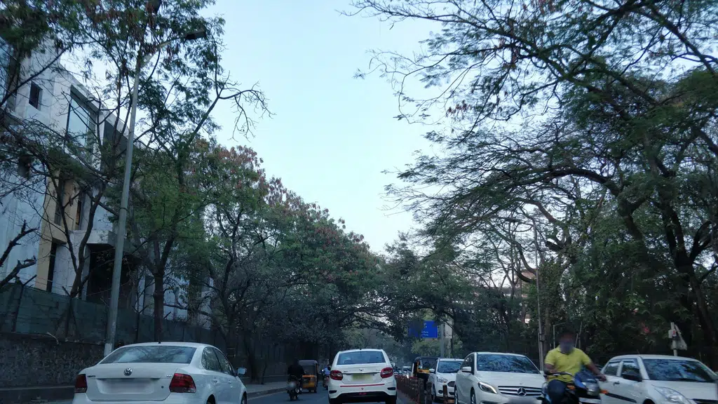 Hotel Krishna Veg