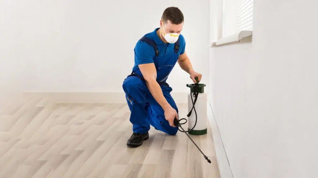 Ayush pest control