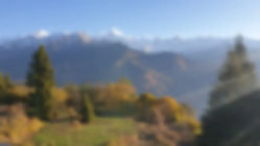 Himalayan Wild Life Photography