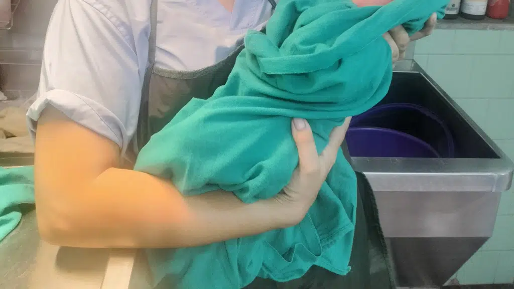 Dr. Namrata Kshatriya