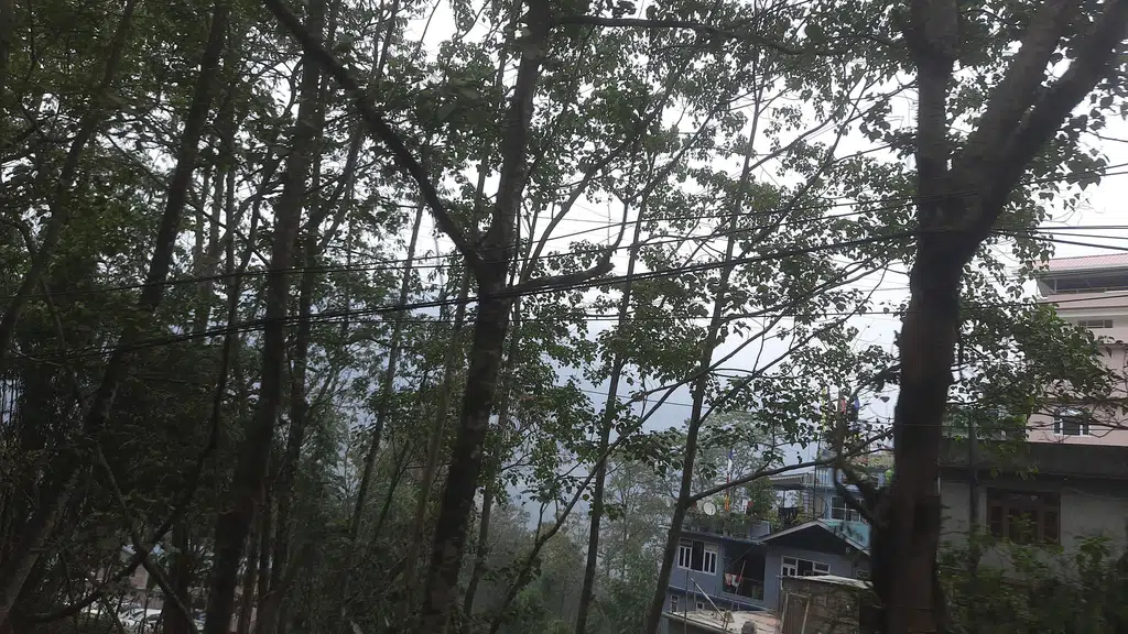Mahindra First Choice Sikkim Motors