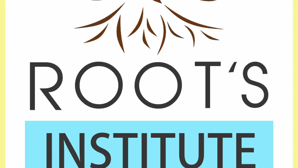 Root's Institute - S A P
