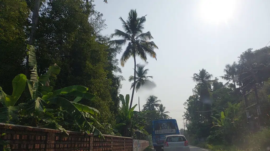 St. Mary's LP School, Manjapra