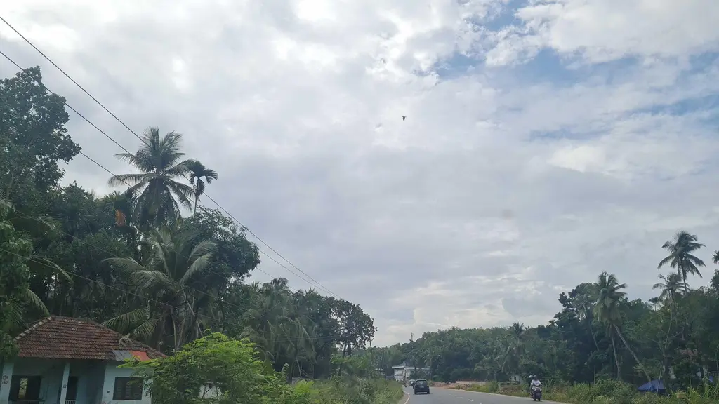 Govt. college , Madappally