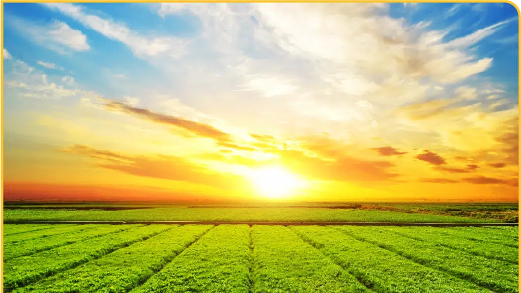 National Agro Industries