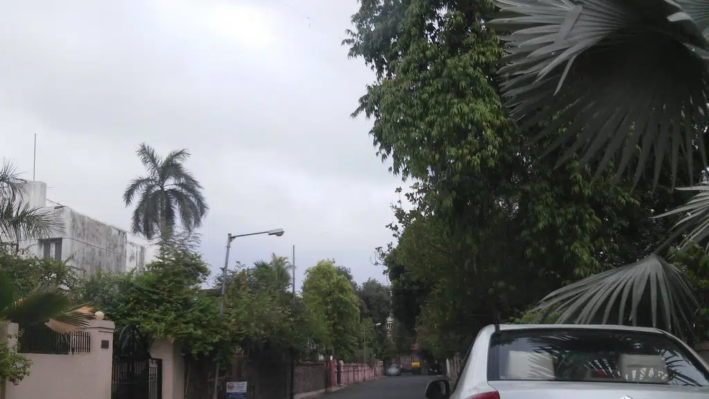 Dhanvantari Ayurvedic Garden