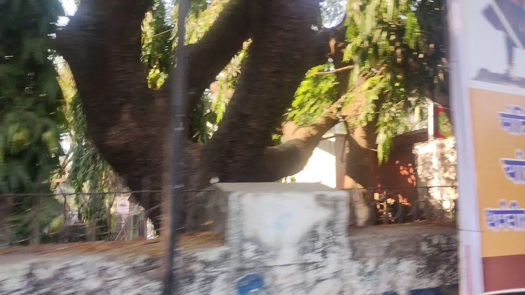 Matoshri Meenatai Balasaheb Thakare Polyclinic