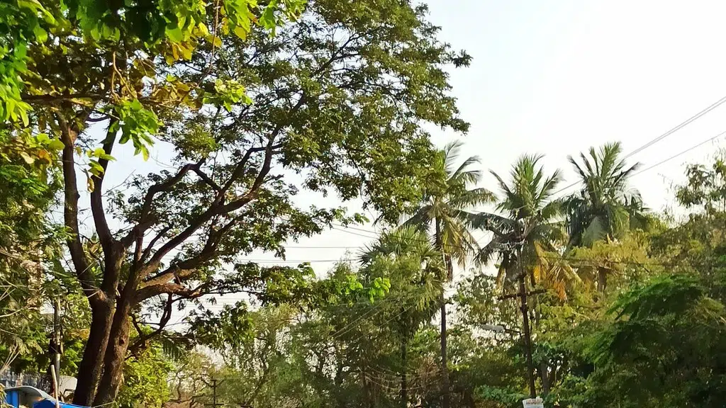 Namama Hotel Kurinji