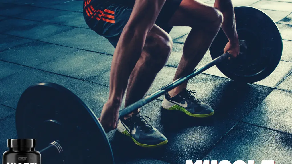 GainsX Nutrition