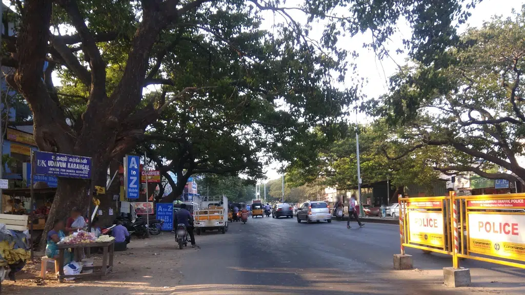 Siddha Central Research Institute and Hospital