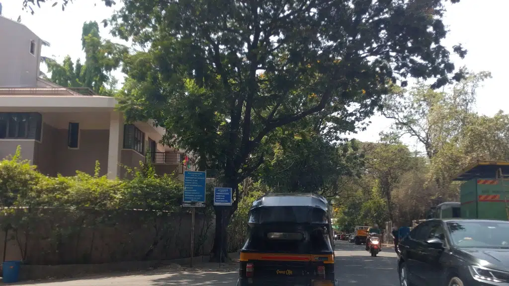 Firangi Tadka