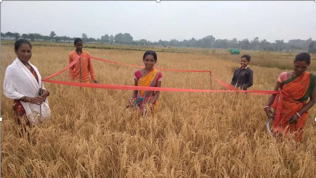 ORRISSA, Malkangiri & Kandhamal, Odisha, India