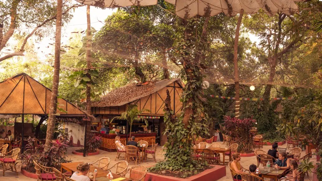 Bean Me Up Guest House / Salad Bar / Soy Station