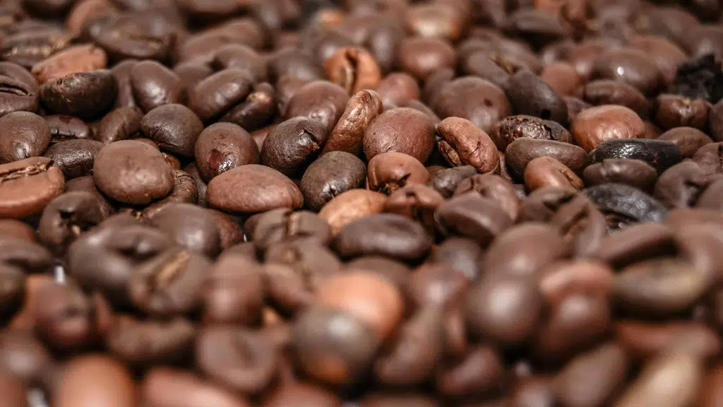 Sorrota Coffee
