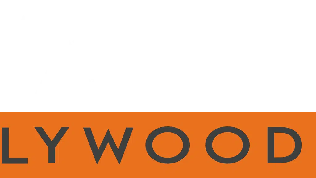 Mario Plywood