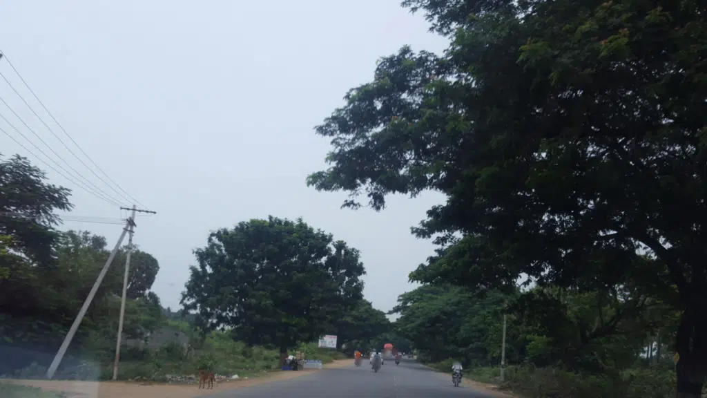 Pulipati College of Nursing