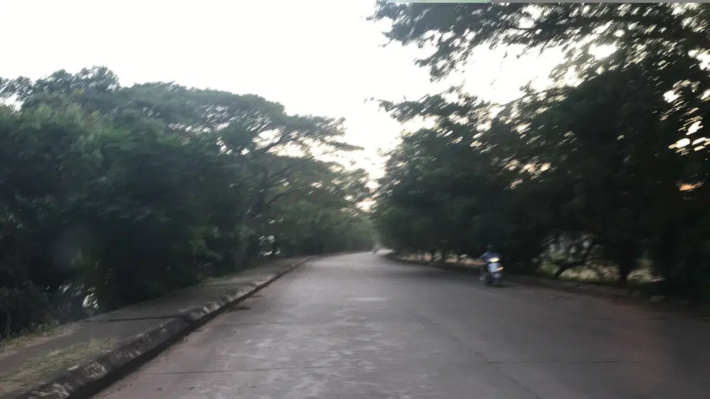 Kalivali - The Toddy Lounge
