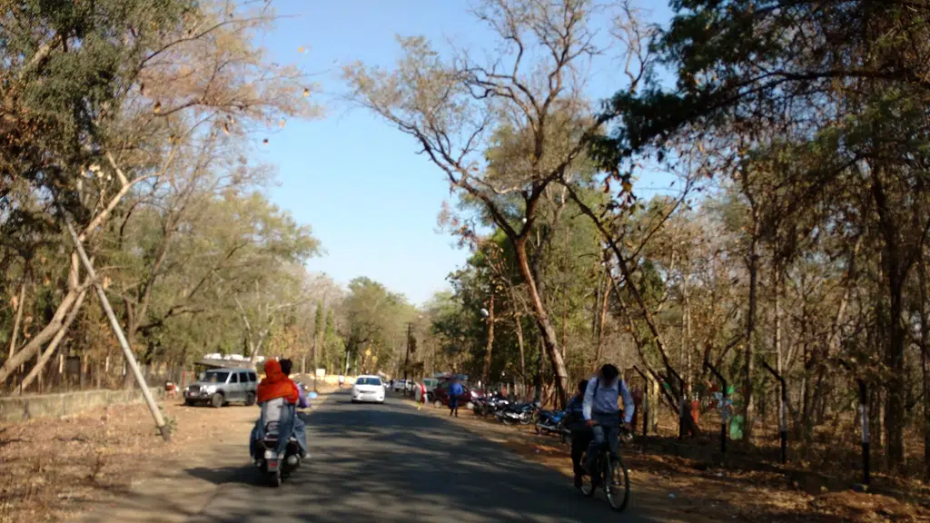 Futala lake
