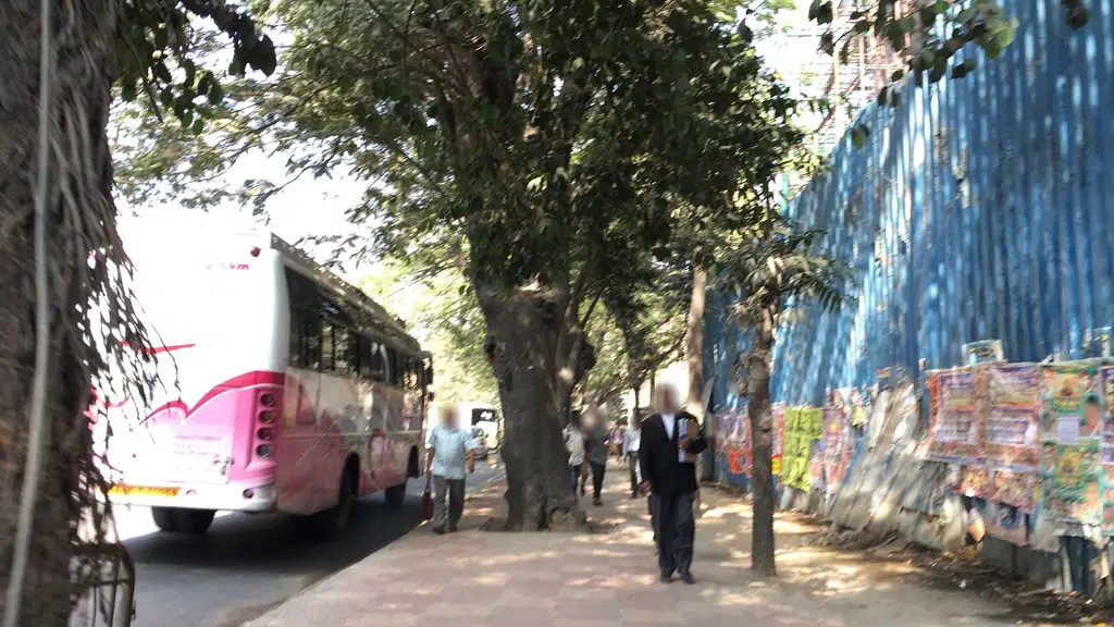 Magnolia Kids Singanayakanahalli