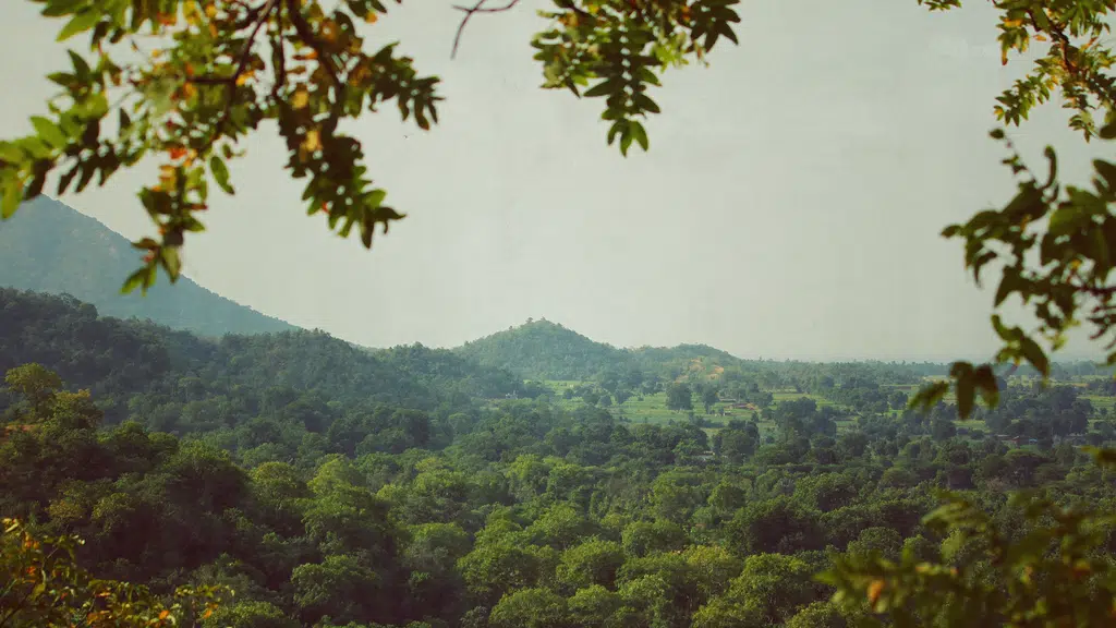 Adam's Nature Retreat