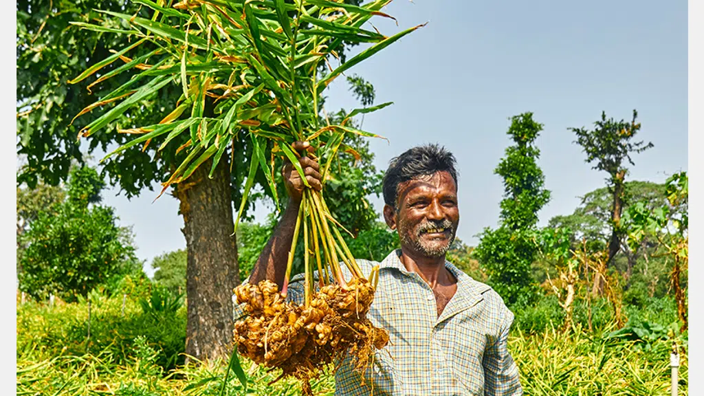 Phalada Agro Research Foundations Pvt. Ltd.