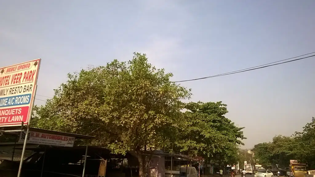 Sukapur bhagatwadi cha raja