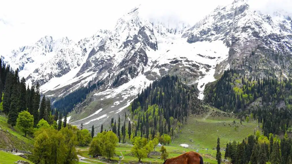 Fairytale Tour and Travels