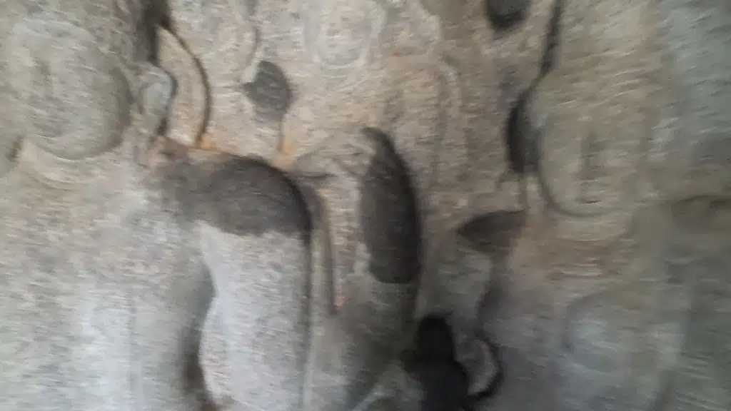 Arjuna's Chariot