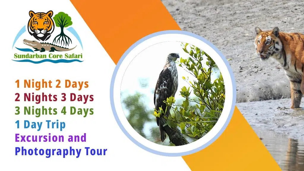 Sundarban Core Safari