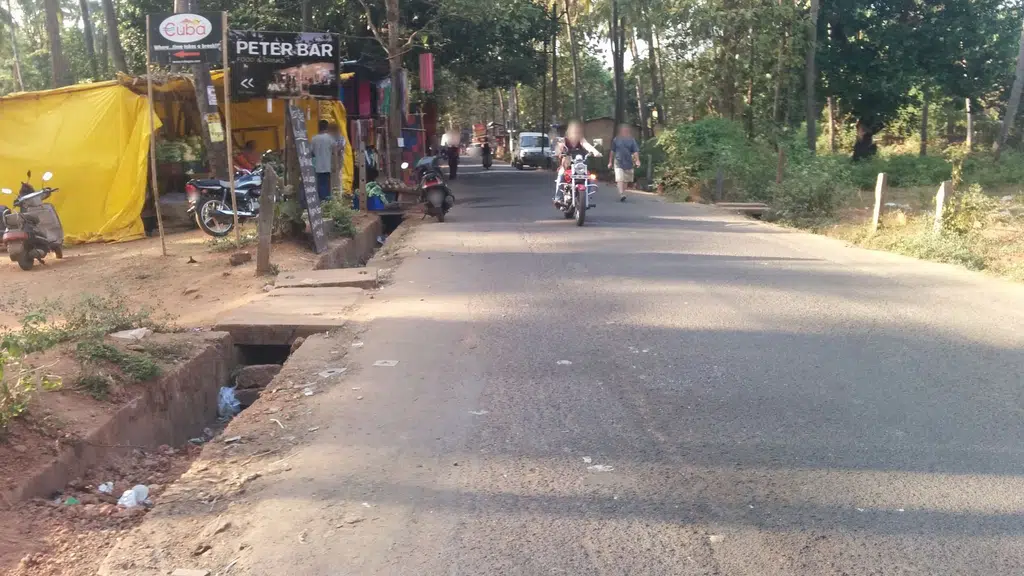 Palolem Beach Guest House Goa