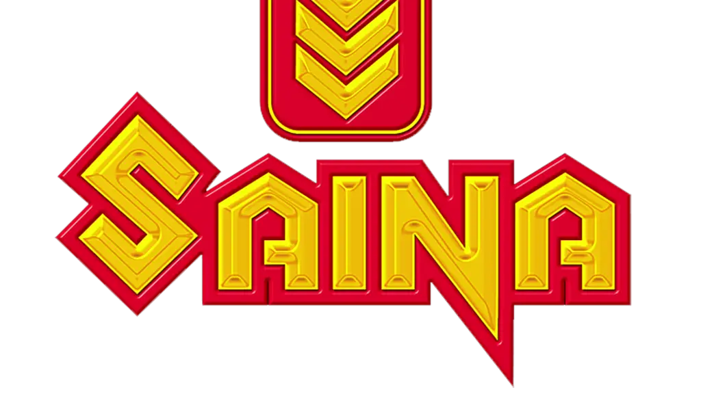 Saina Infotainments Private Limited