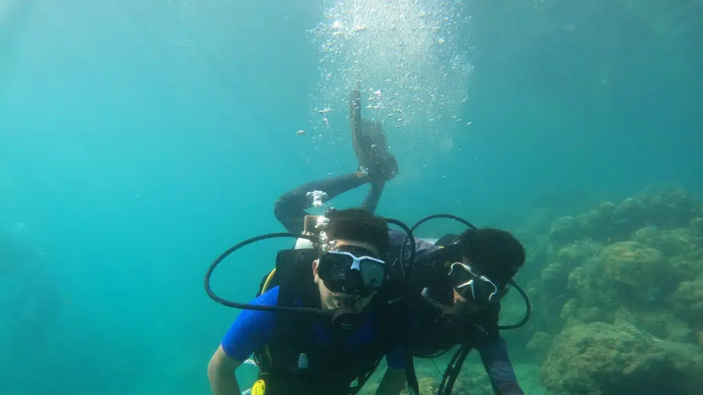 Coral Garden Scuba
