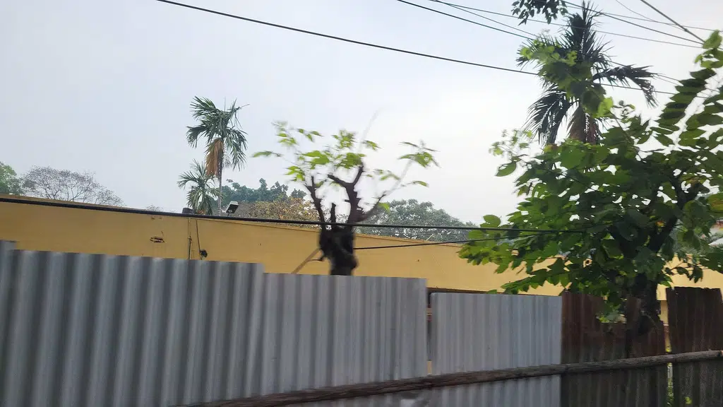 Government Boys Higher Secondary School