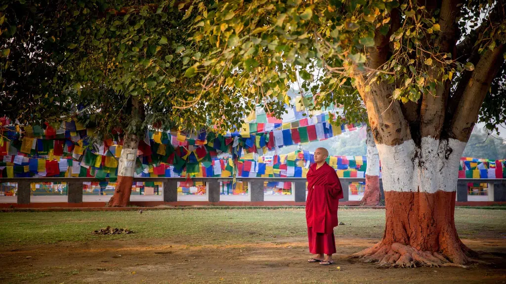 Yongey tergar monastery bodhagaya