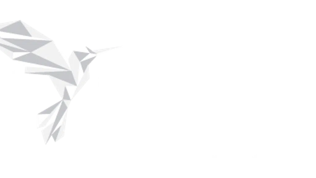 SNG Infotechs