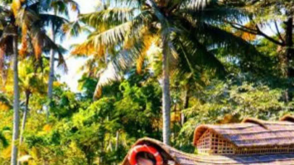 MSM Holidays Private Limited