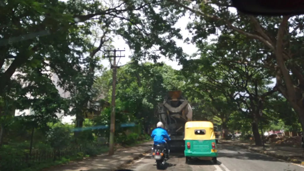 nandu_the_cyclist_2012