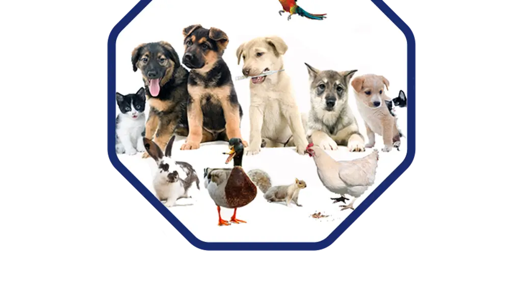 DrPET Online veterinary consultations for Pets, Animals, avian and exotic pets
