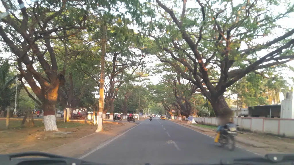 Valluvar Vasuki Thirumana Mandapam
