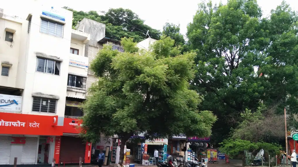 Aajol Daycare & Pre-School