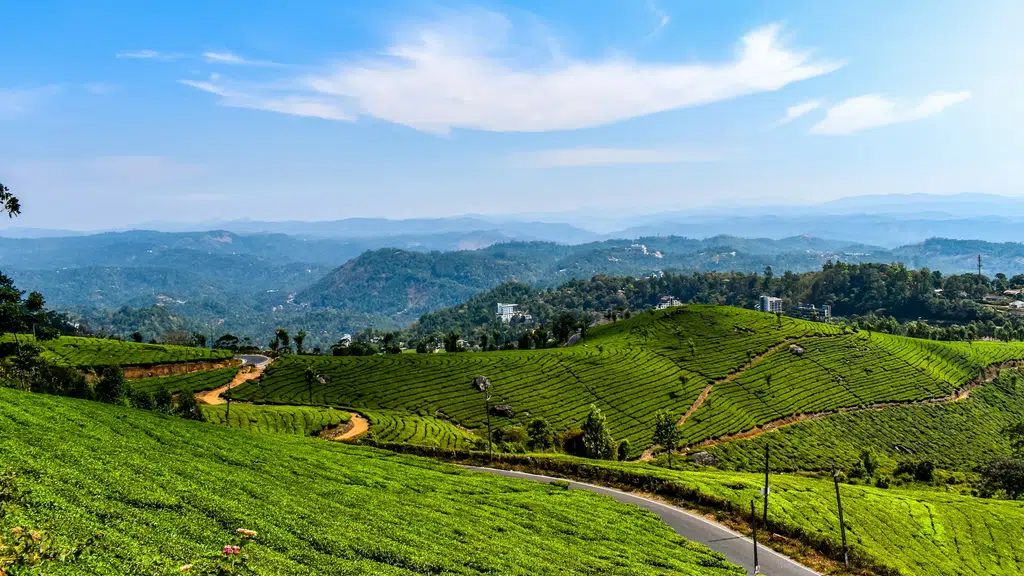 Tripbest Holidays & Resorts