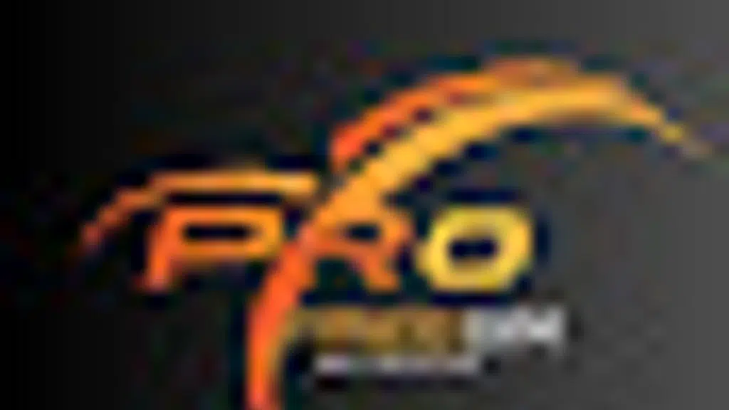 Pro Fitness