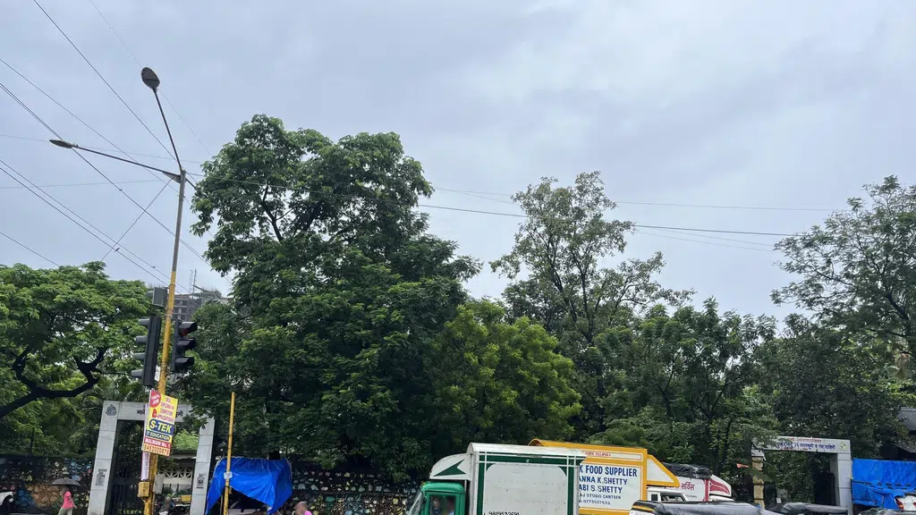 Raksha Hospital