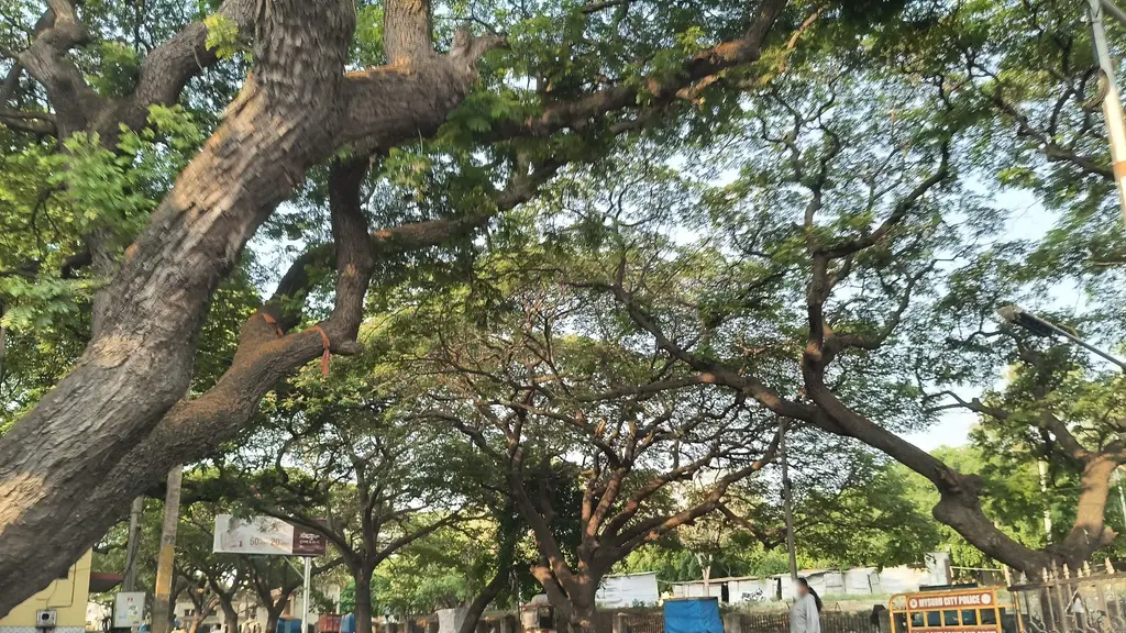 The Mysore City Local Lorry Owners Association
