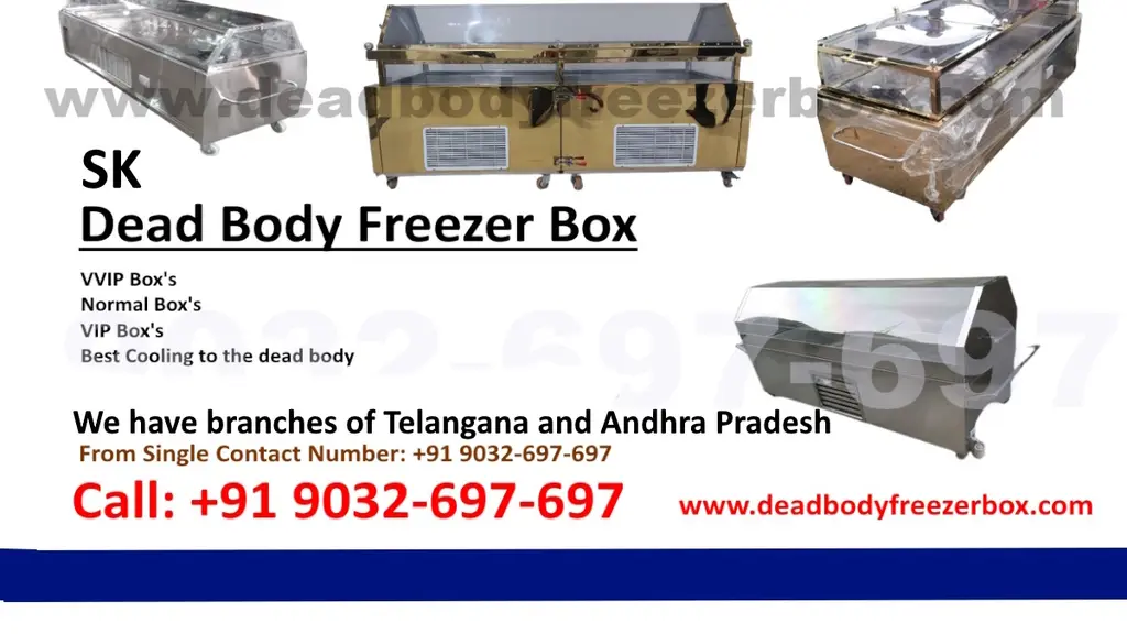 SK - Dead Body Freezer