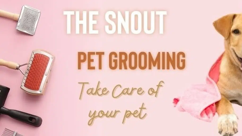 The Snout Pet Shop Dog Biscuits