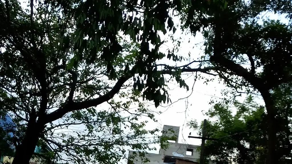 ThiraiPattarai Acting Institute